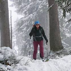 Der Aufstieg führt durch den frisch verschneiten Wald