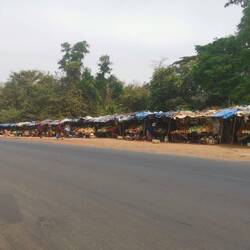 Außerhalb der Stadt werden am Straßenrand oft Tomaten oder Orangen verkauft - hier besonders viel