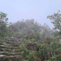 The hike up Machu Picchu mountain