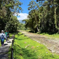 Alte Strasse zur Siedlung