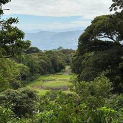 Die Überreste der Siedlung