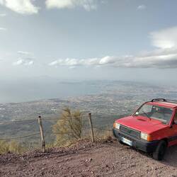 Panda everywhere ❤️