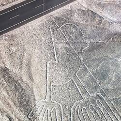 So fahre ich jetzt zurück nach Lima .