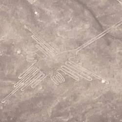 Matthias, extra für dich, der Kolibri.