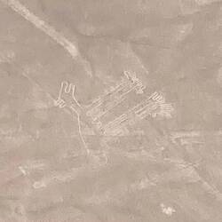 El perro, den Hund 🐕.