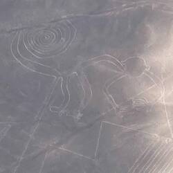 Genau, ein Affe 🐒.