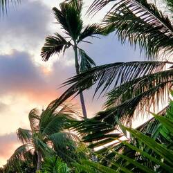 A sneak peek of the sunset from our deck during happy hour!