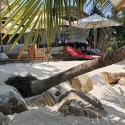 They shoveled all the sand up the sides where the storm had washed it down to sandbags.