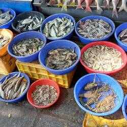 Fish Market on the promenade
