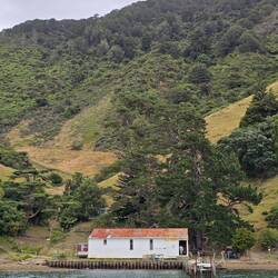 Wilson Bay Farm: Scheune zum Schafe scheren