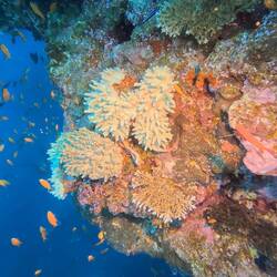 Same spots with my lights on