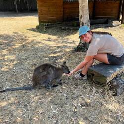 Great Ocean Road Wildlife Park