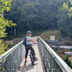 Swain bridge over the Arrow