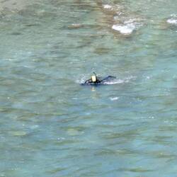 Someone panning for gold in the Shotover River. Apparently, there's still a lot there!