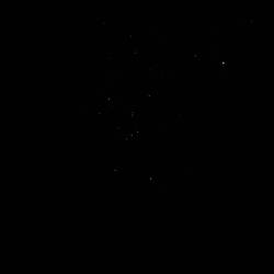 Glüehwörmli oder Stärne?