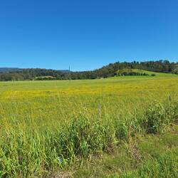 Heute schaut es teilweise wieder aus wie im Allgäu