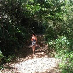 Einmal durch den Dschungel