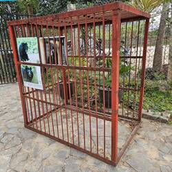 Real bear cage