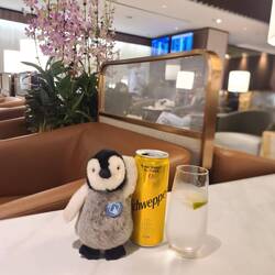 Da ist natürlich nicht nur Schweppes drin 🫣🫣🫣😃😃🙈🙈