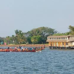 Dragon boat festival on Bolghatty Island