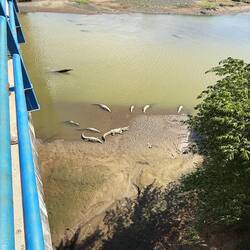 Här ska man inte tappa ned mobilen!