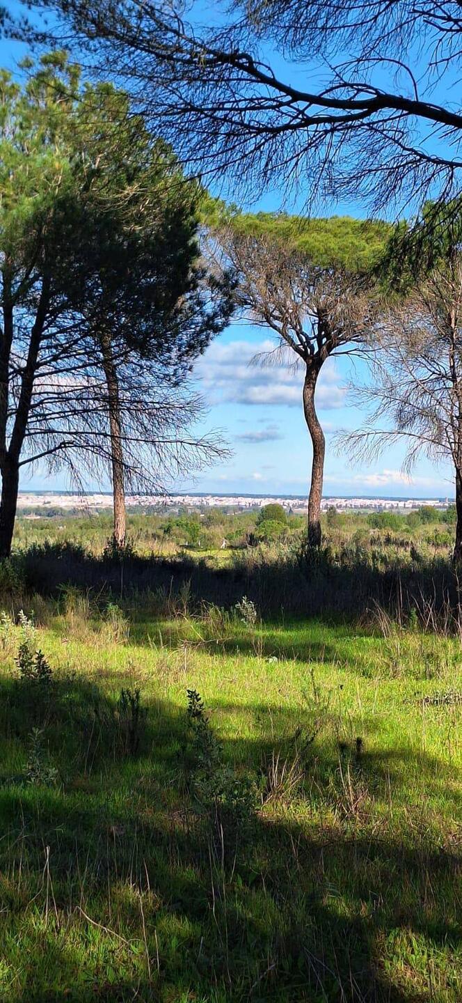 Blick nach Almonte