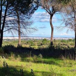 Blick nach Almonte