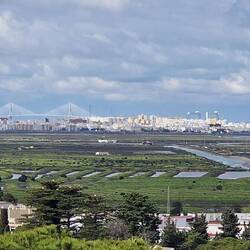 In der Ferne die Brücke nach Cadiz.