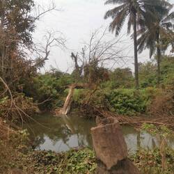 Hinter dem Fluss ist eine Farm, auf der ich gehofft hatte, mitarbeiten zu können
