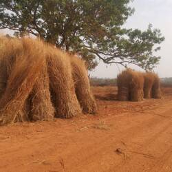 Hier hat man vermutlich genug Baumaterial für die nächsten Dächer