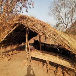 Was für ein perfekter Unterstand, um geschützt vor der Sonne ein paar Sachen am Rad zu reparieren