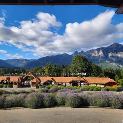 View from front steps of the Llao Llao Resort.