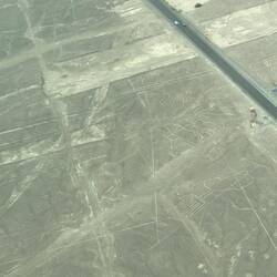 Tree up top and hands on the bottom