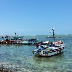 Fishing boats