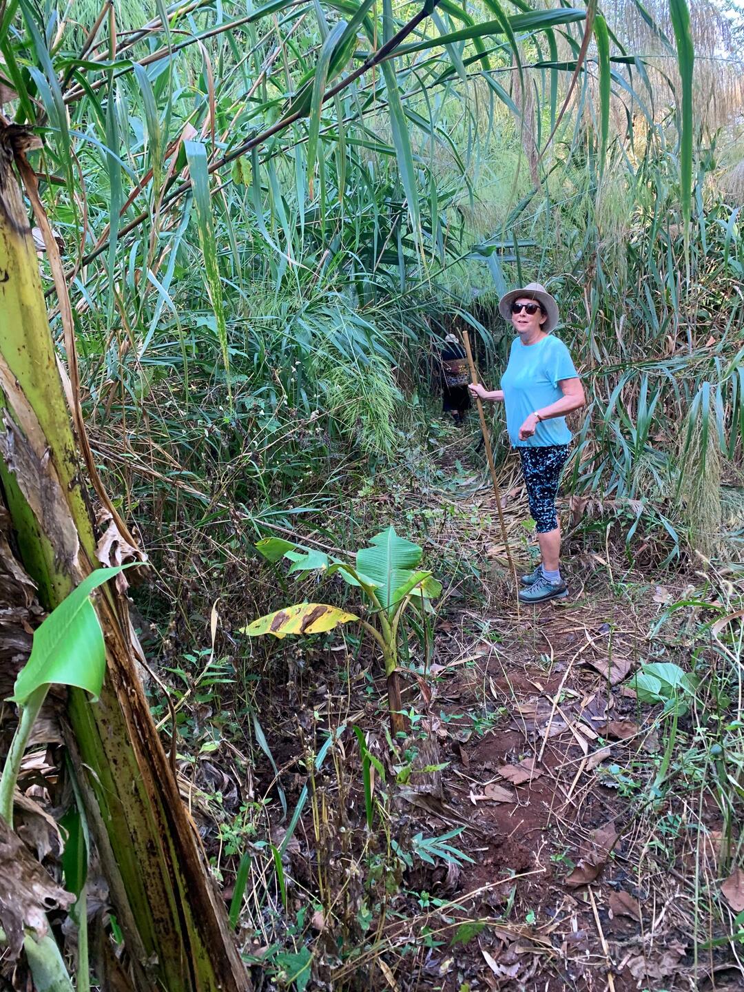 Once more into the jungle