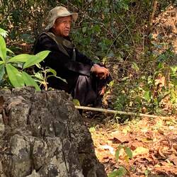 Our local guide