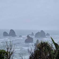 Wer erkennt de Haas?