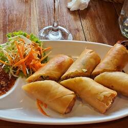 My spring rolls at The Green Bird!