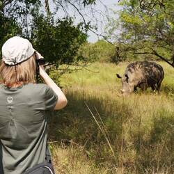 Ziwa Rhino Sanctuary