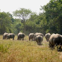 Unterwegs zum Wasserloch