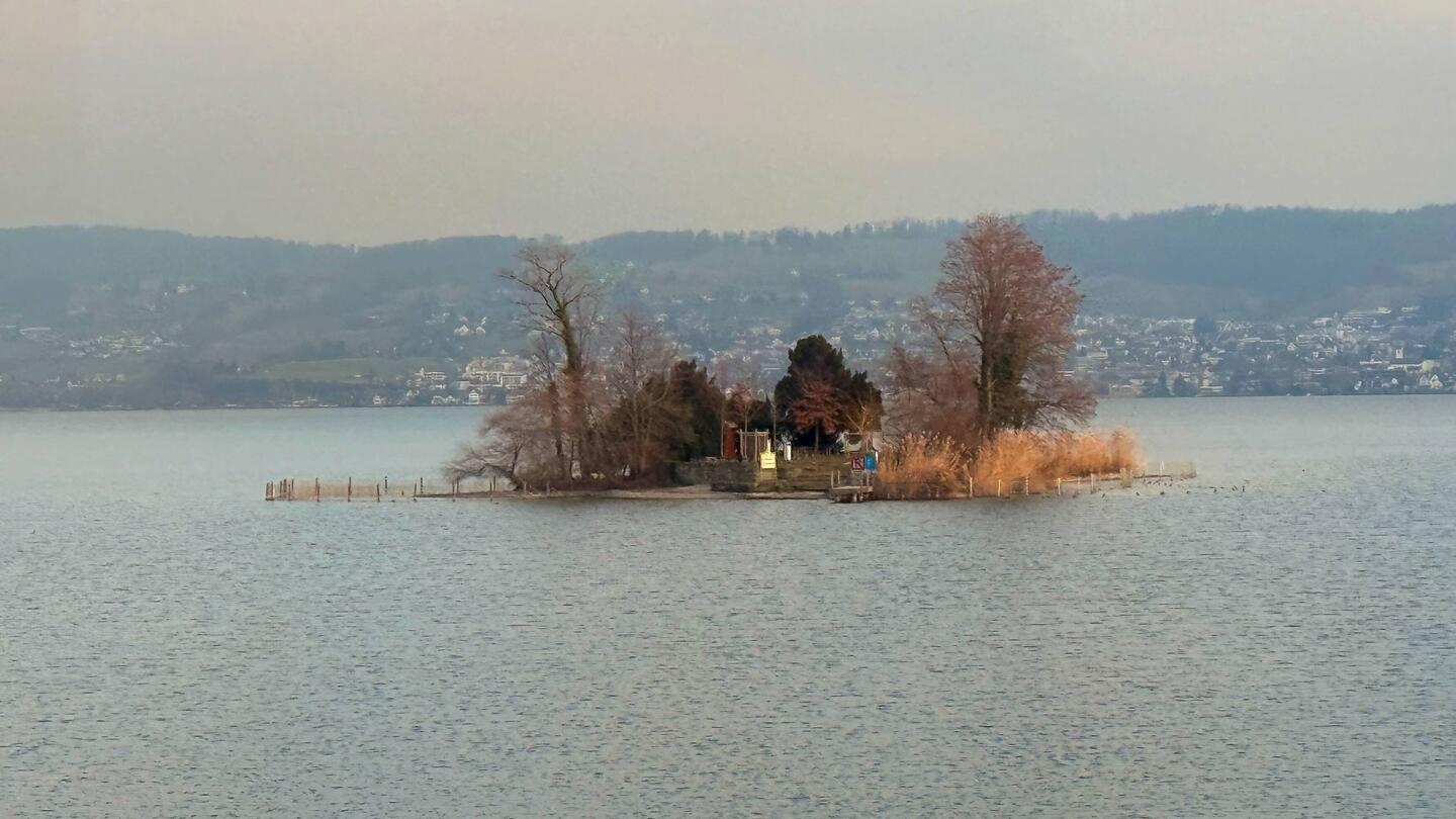 Insel Schönenwerd im Zürichsee