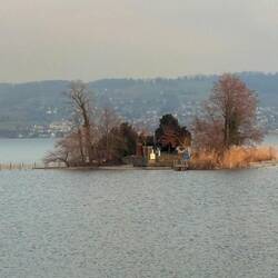 Insel Schönenwerd im Zürichsee