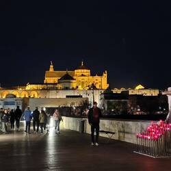Blick auf die Mezquita-Catedral