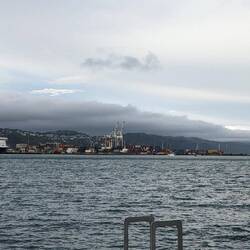 Wellington Harbour