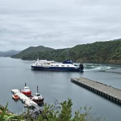 Die Connemara von Blue Bridge bei der Wende