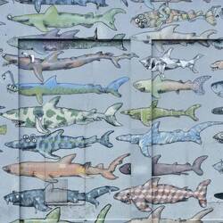 Street-Art in Wellington