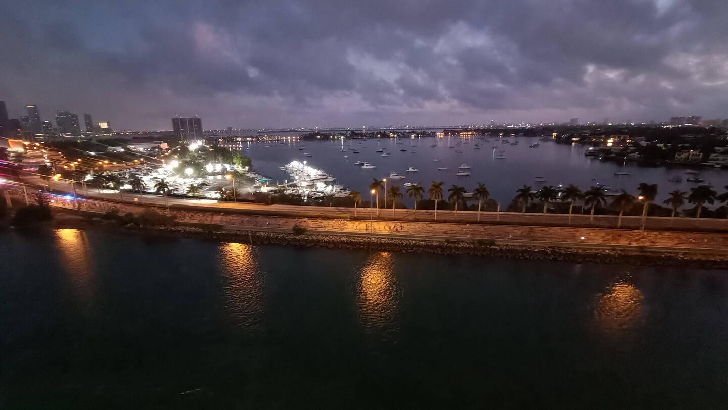 Mit Zoomen kann man die Ameisen erkennen 😅