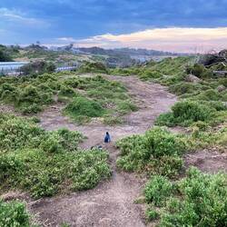 early birds 😄 ... oder brave guys 😎