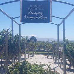 Stop off at vineyards for a spot of wine tasting on our way back from Breede River