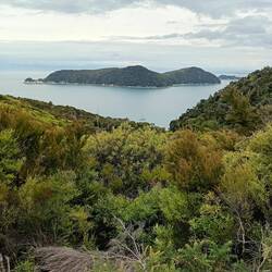 Last few walks on the Abel Tasman before we leave
